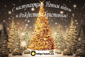 С наступающим Новым годом и Рождеством Христовым!